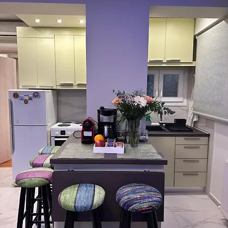 公寓 Christine's Luxury & Cozy 塞萨洛尼基